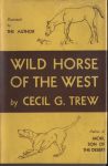 Fig.35a - Dust-jacket of Wild Horse of the West.