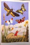 Fig.14a: A Girls' Hobby Book - Butterflies.