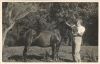 Fig.13f: MRC with horse, unknown date.