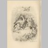 Fig.9c: Illustration for Ella Wheeler Wilcox's poem 'Babyland.' Fig.9c: Illustration for Ella Wheeler Wilcox's poem 'Babyland.'