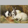 Fig.10d: Painting 'Rabbits Feeding.' Fig.10d: Painting 'Rabbits Feeding.'