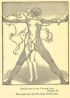 Fig.10e: Land of Souls - the Super Soul and Body become one. Fig.10e: Land of Souls - the Super Soul and Body become one.