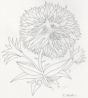 Fig.7a: Flowers of Evil, frontispiece.