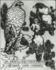 Fig.19b: Ex Libris - Eagle with four crows (1910).