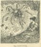 Fig.17c: Fun - Alice in Bounderland - the Money Spider.