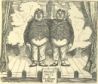 Fig.17d: Fun - Alice in Bounderland - the Jingo Brothers.