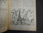 Fig.2b - Sample illustration from Sinbad. Fig.2b - Sample illustration from Sinbad.