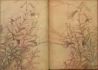 Fig.19c: Milford Rubaiyat - rear end papers of Fig.19a. Fig.19c: Milford Rubaiyat - rear end papers of Fig.19a.